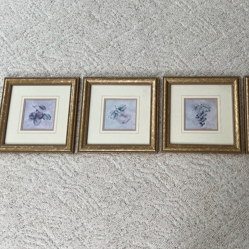 Fruit Prints Framed Set of 4 with Gold Toned Frames